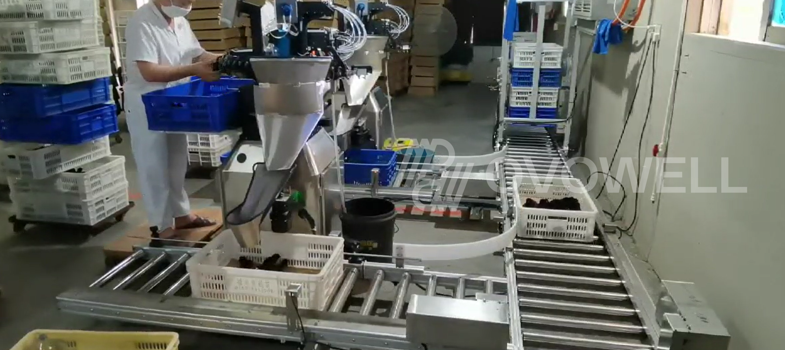 Operators using OVOWELL day-old chick beak treatment and vaccination machines