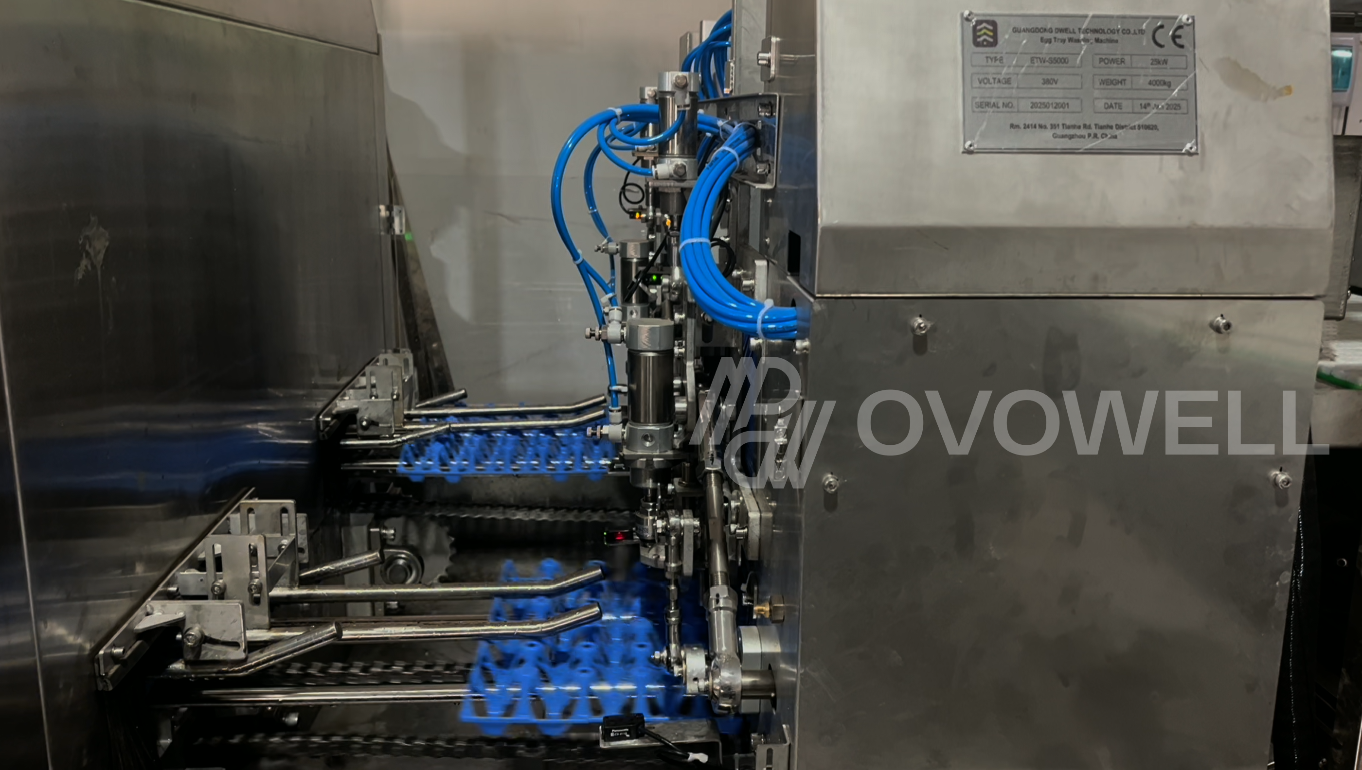 OVOWELL egg tray washer with a plastic mesh conveyor