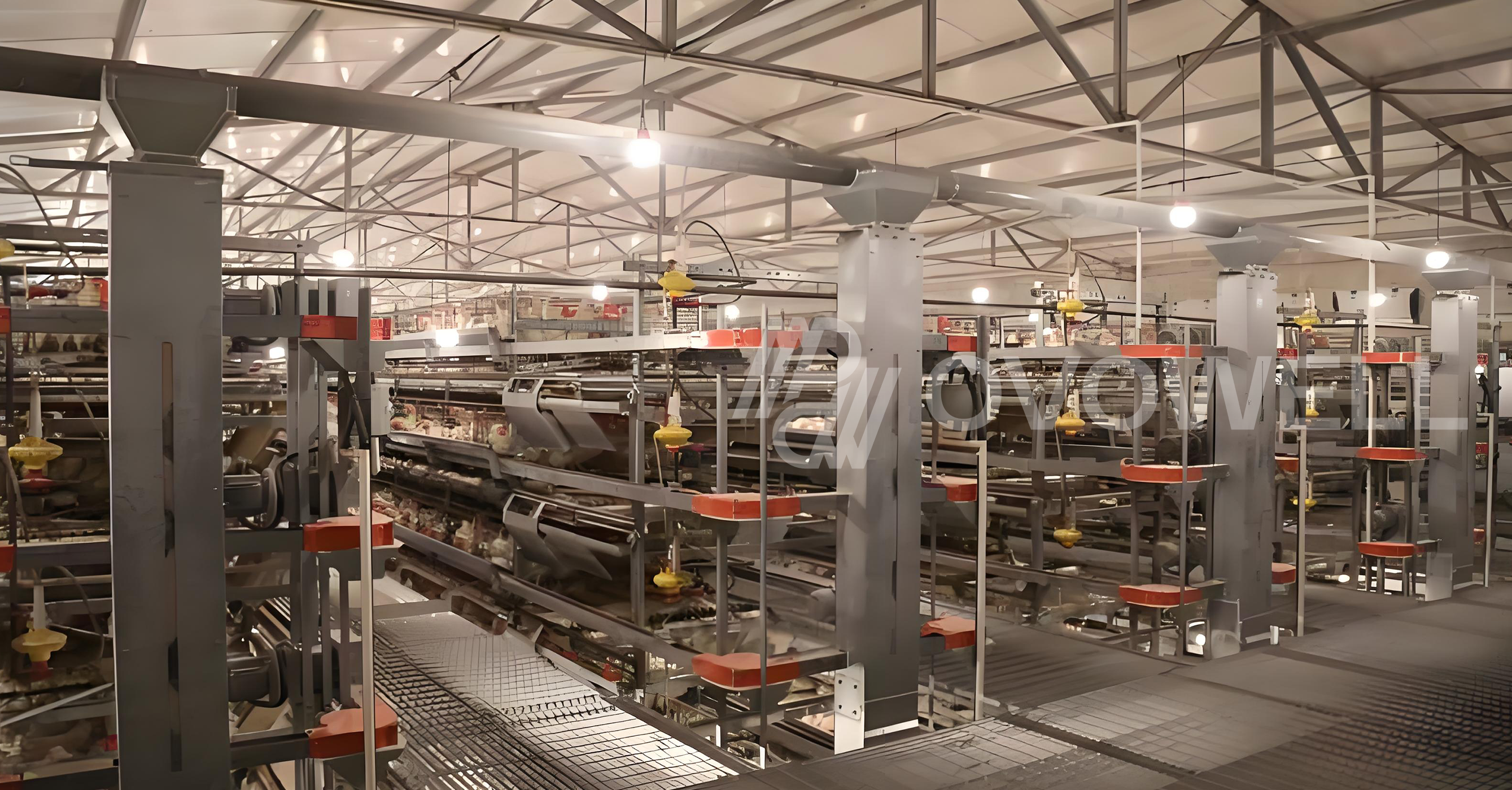 Integrated chick processing equipment inside a commercial hatchery