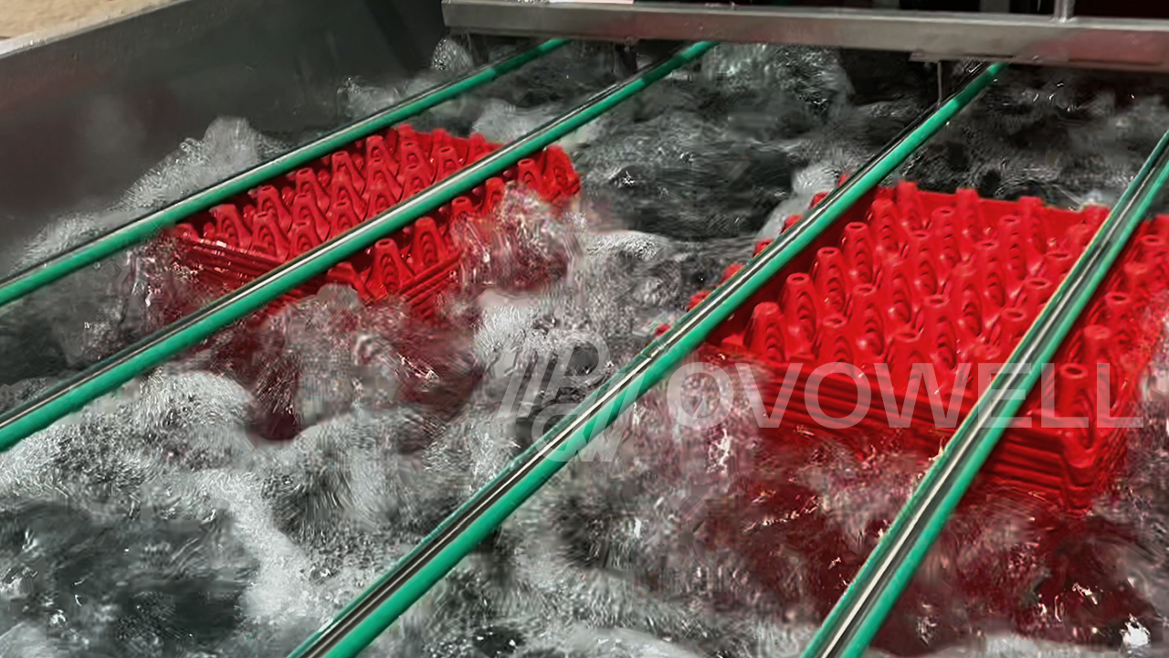 Reusable plastic egg trays moving through a high-pressure washing line