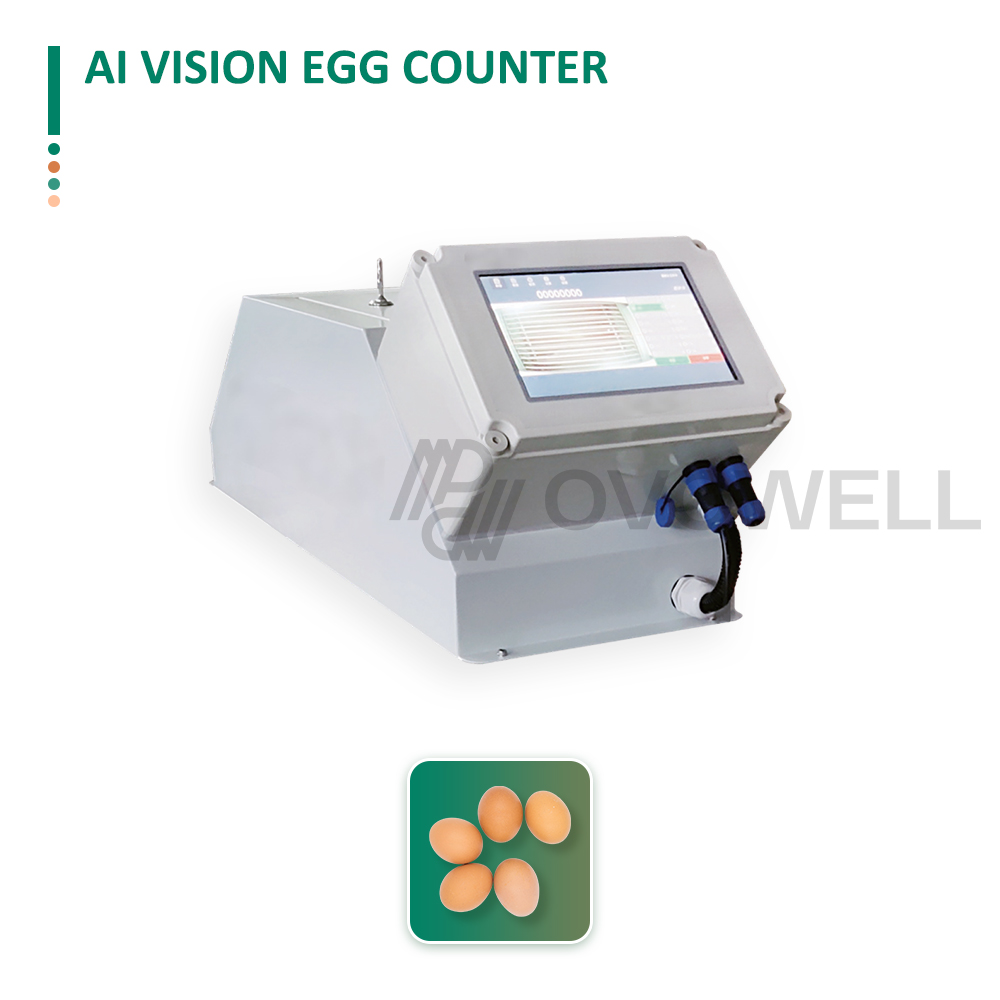 AICE7501 AI vision egg counter for poultry farm egg conveyors