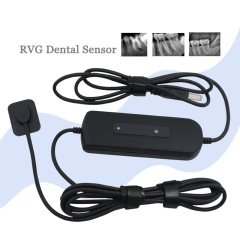 Dentist Equipment Dental Digital Sensor ECO Sensor with Holder Intra Oral Imaging System RVG X Ray Sensor,Dentist Equipment Dental Digital Sensor ECO Sensor with Holder Intra Oral Imaging System RVG X Ray Sensor