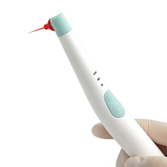 Dental Endo Activator Sonic Irrigator Handpiece With 120pcs Endo Tips Endodontic Treatment,Dental Endo Activator Sonic Irrigator Handpiece With 120pcs Endo Tips Endodontic Treatment