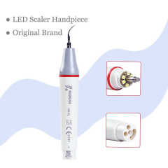 Original Brand Dental Ultrasonic Piezo Scaler LED Detachable Handpiece HW-5L / HW-3H for Scaler Cleaning Dentist Tools,Original Brand Dental Ultrasonic Piezo Scaler LED Detachable Handpiece HW-5L / HW-3H for Scaler Cleaning Dentist Tools