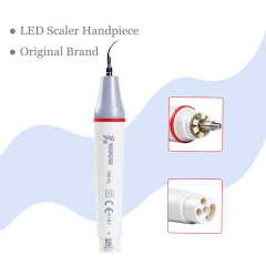 Original Brand Dental Ultrasonic Piezo Scaler LED Detachable Handpiece HW-5L / HW-3H for Scaler Cleaning Dentist Tools,Original Brand Dental Ultrasonic Piezo Scaler LED Detachable Handpiece HW-5L / HW-3H for Scaler Cleaning Dentist Tools