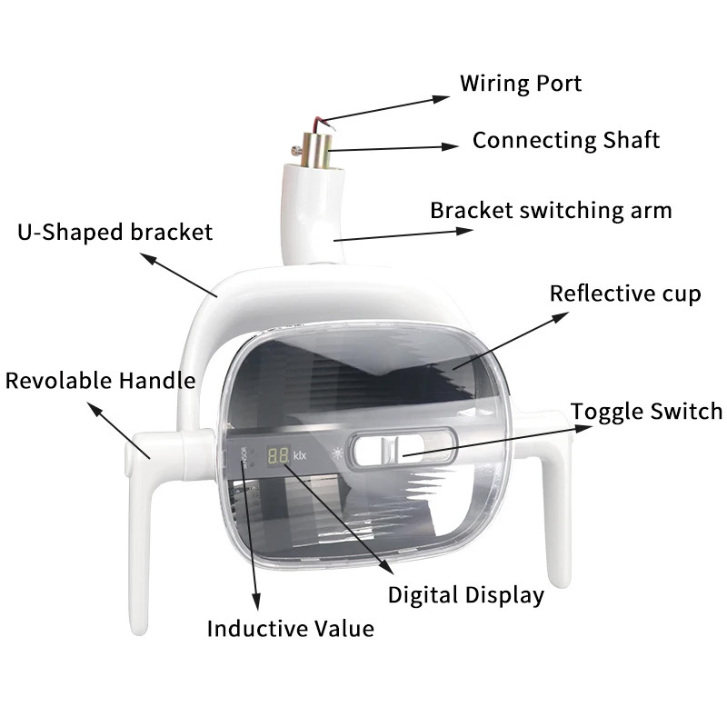 Medical Oral Examination Induction Lamp Dental Clinic Chair Accessory Led Light 5w Ceiling Mount Surgery Dental Led Lamp,Medical Oral Examination Induction Lamp Dental Clinic Chair Accessory Led Light 5w Ceiling Mount Surgery Dental Led Lamp