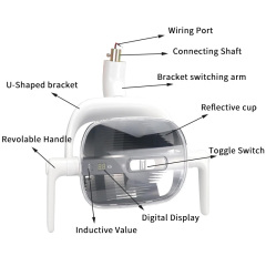Medical Oral Examination Induction Lamp Dental Clinic Chair Accessory Led Light 5w Ceiling Mount Surgery Dental Led Lamp,Medical Oral Examination Induction Lamp Dental Clinic Chair Accessory Led Light 5w Ceiling Mount Surgery Dental Led Lamp