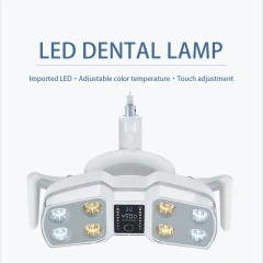 Dental Equipment Dental LED Lamp With 8 LED Bulbs Oral Lamp Operation Dental Induction Light,Dental Equipment Dental LED Lamp With 8 LED Bulbs Oral Lamp Operation Dental Induction Light