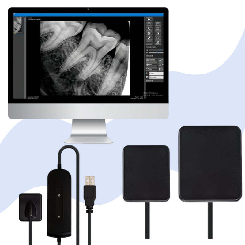Portable Rayos X Digital RVG Intraoral Sensor Radiovisografo HD Image Dental Sensor for Clinic,Portable Rayos X Digital RVG Intraoral Sensor Radiovisografo HD Image Dental Sensor for Clinic