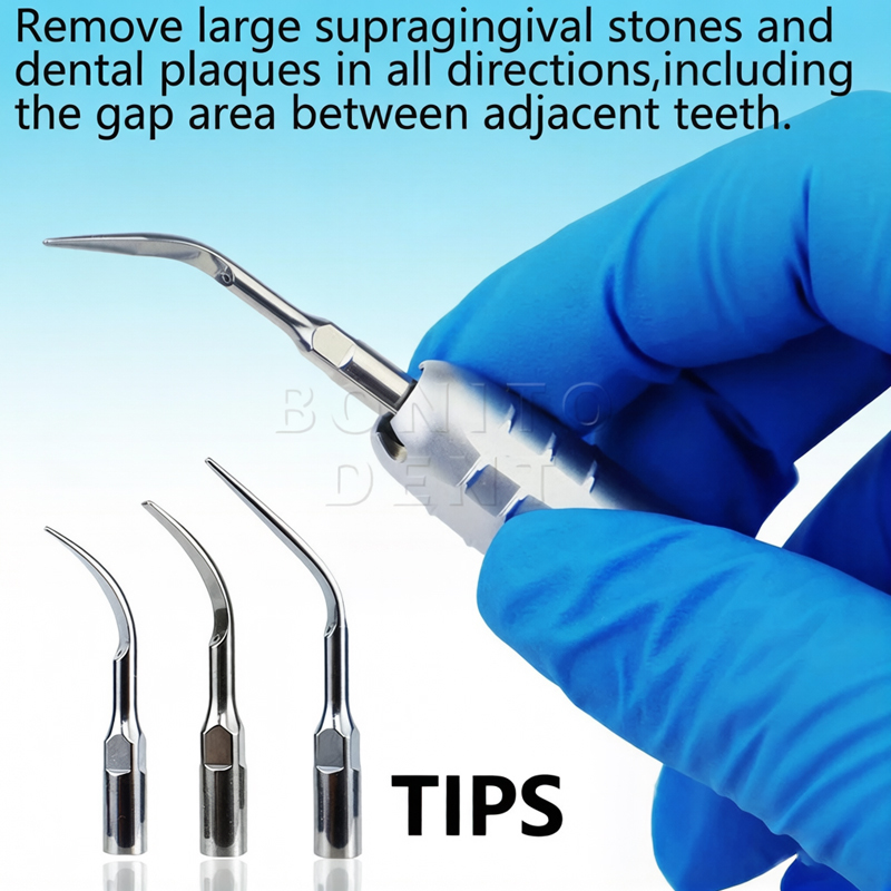 2 Hole/ 4 Hole Ultrasonic Dental Air Scaler Irrigation Handpiece Sonic Perio Scaling with 3 Tips Hand Drills Dentaist Tools,2 Hole/ 4 Hole Ultrasonic Dental Air Scaler Irrigation Handpiece Sonic Perio Scaling with 3 Tips Hand Drills Dentaist Tools