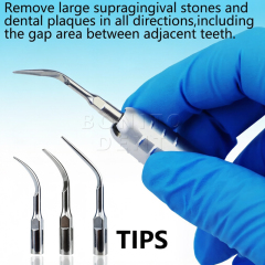2 Hole/ 4 Hole Ultrasonic Dental Air Scaler Irrigation Handpiece Sonic Perio Scaling with 3 Tips Hand Drills Dentaist Tools,2 Hole/ 4 Hole Ultrasonic Dental Air Scaler Irrigation Handpiece Sonic Perio Scaling with 3 Tips Hand Drills Dentaist Tools