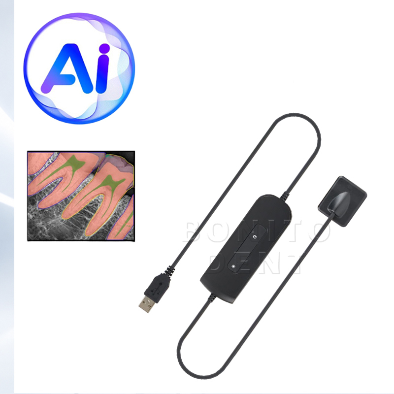 Dental RVG Sensor Portable Dentist Intraoral System Image HDR Sensor Dental Radiographic Digital Sensor Free Driver AI Software,Dental RVG Sensor Portable Dentist Intraoral System Image HDR Sensor Dental Radiographic Digital Sensor Free Driver AI Software