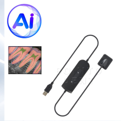 Dental RVG Sensor Portable Dentist Intraoral System Image HDR Sensor Dental Radiographic Digital Sensor Free Driver AI Software,Dental RVG Sensor Portable Dentist Intraoral System Image HDR Sensor Dental Radiographic Digital Sensor Free Driver AI Software
