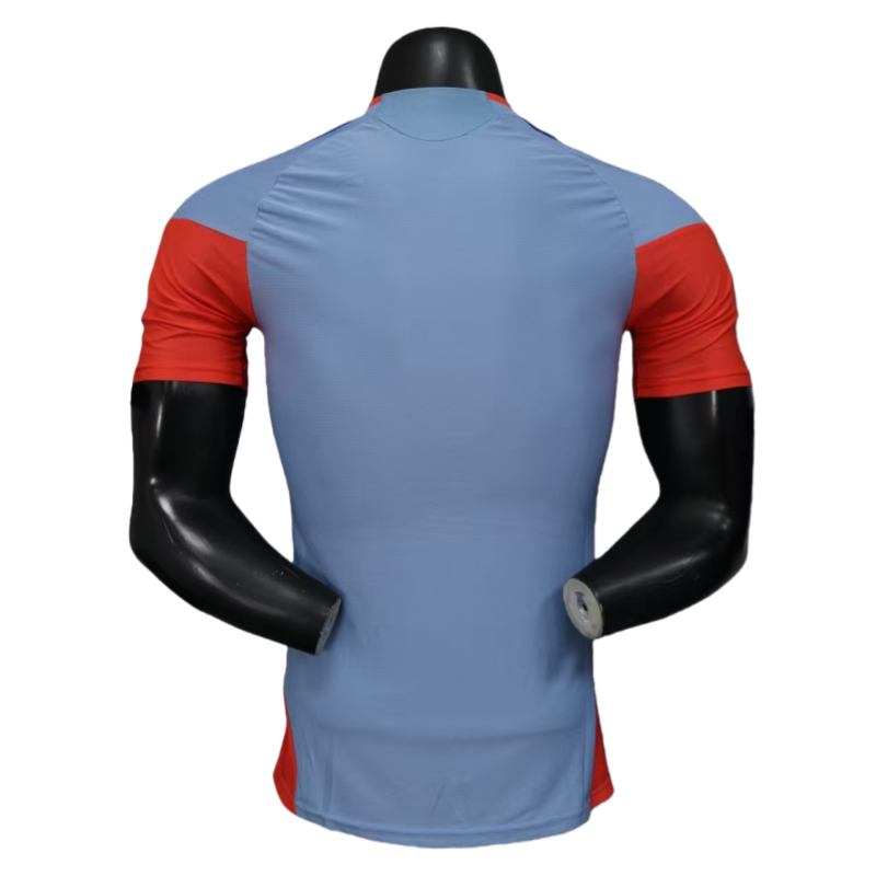 Japan 2025-26 World Cup Away Football jersey Player version