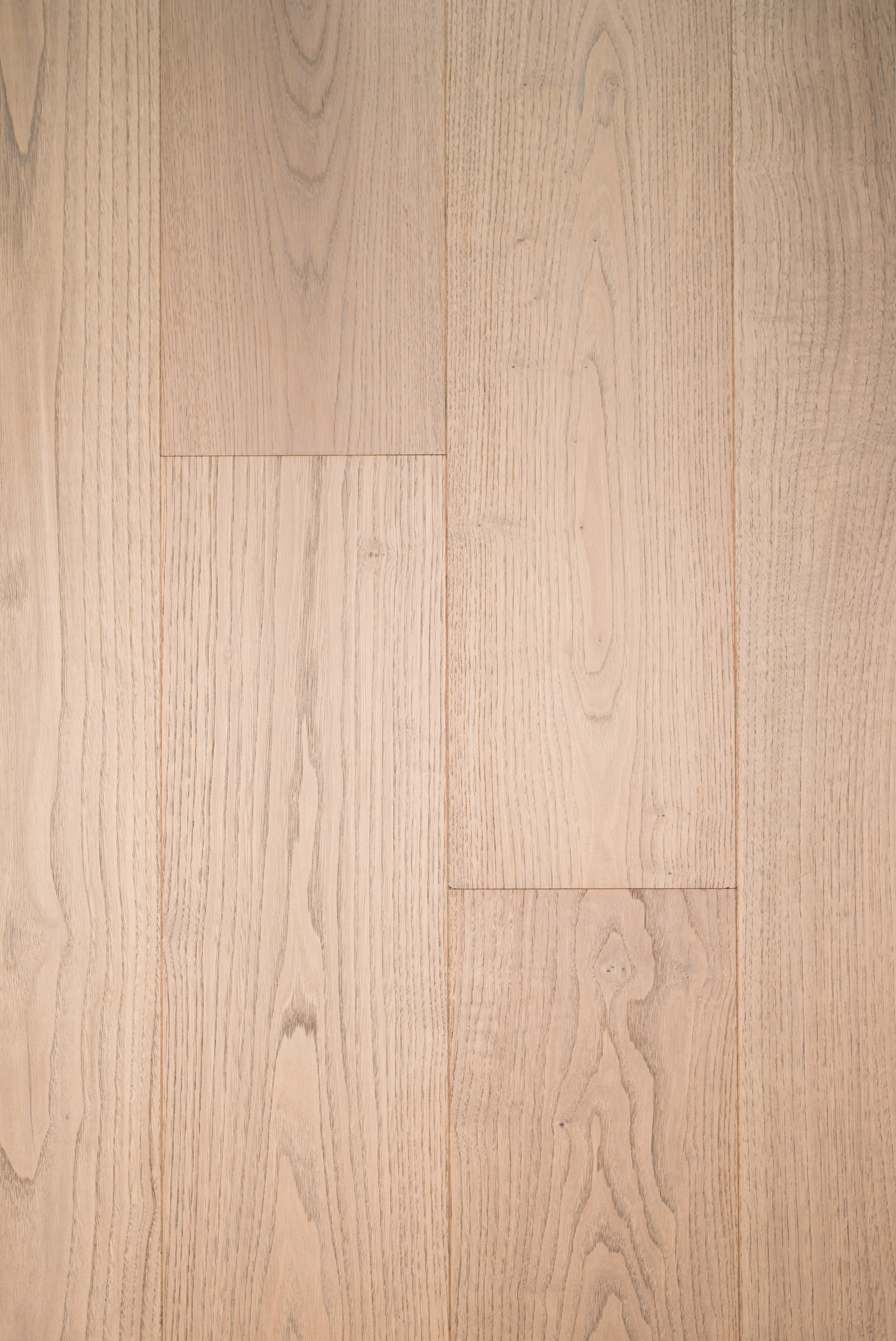 Chestnut-ZC-001