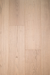 Chestnut-ZC-001