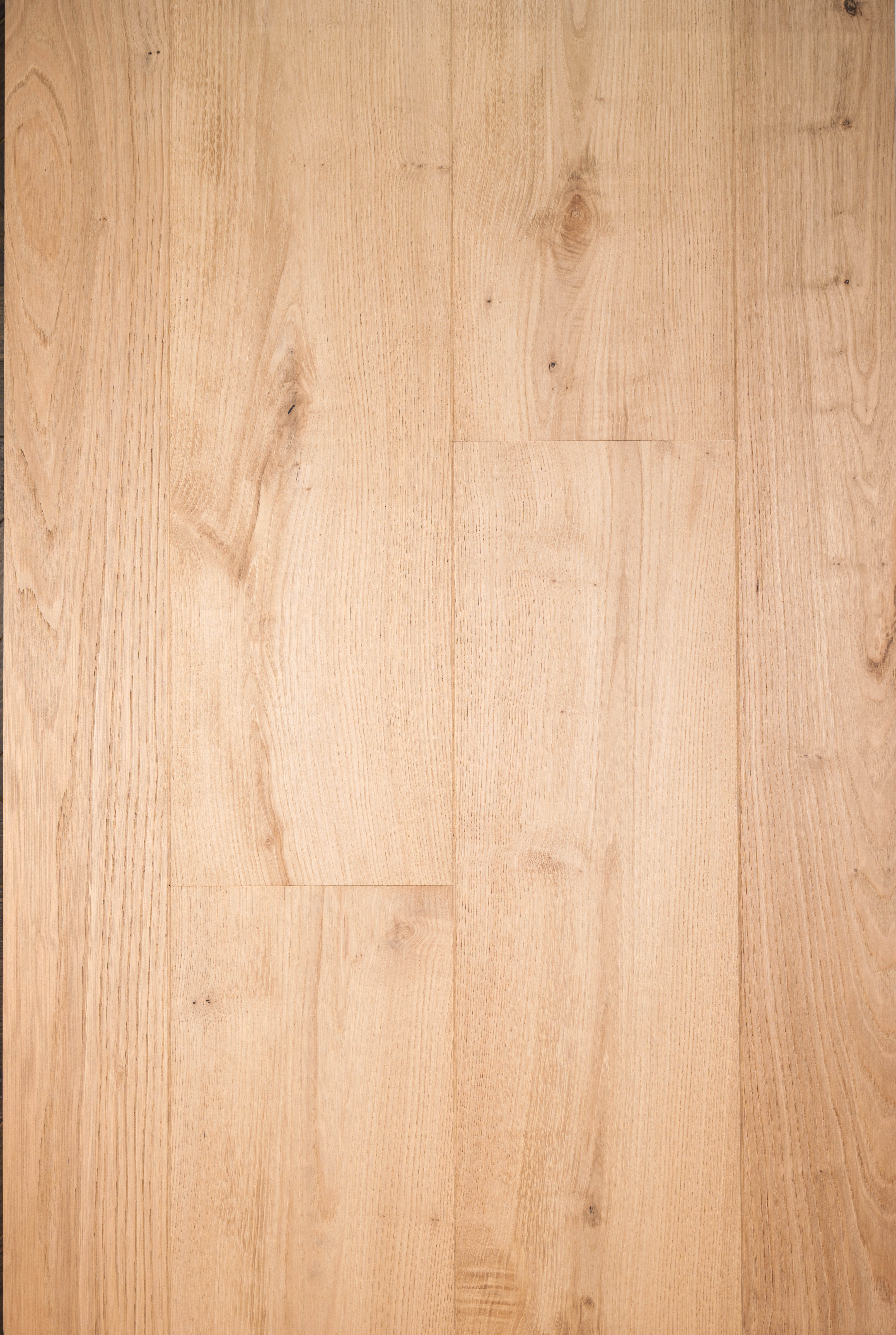 Chestnut-ZC-002