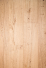 Chestnut-ZC-002