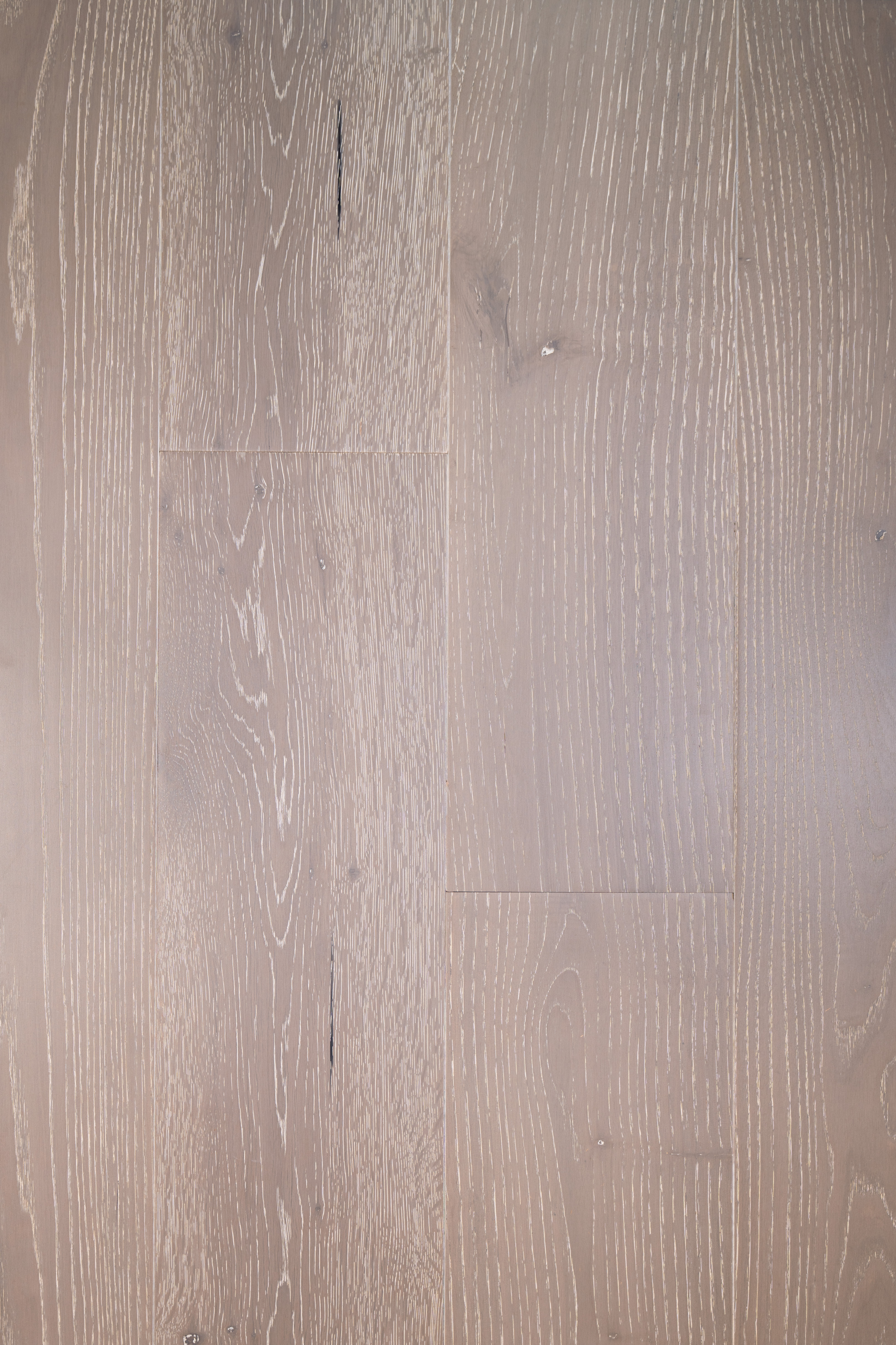 Chestnut-ZC-003
