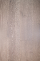 Chestnut-ZC-003
