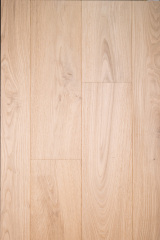 Chestnut-ZC-004