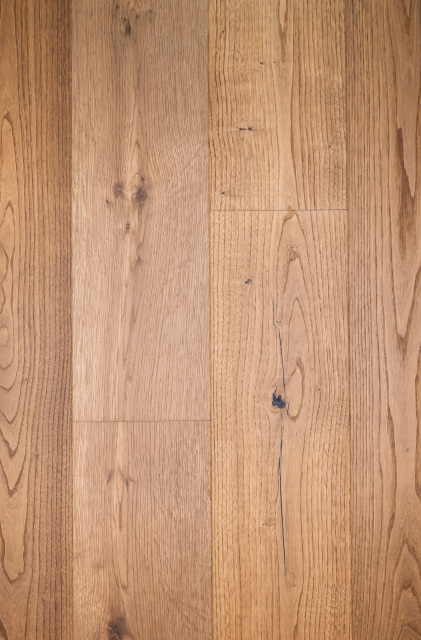 Chestnut-ZC-006