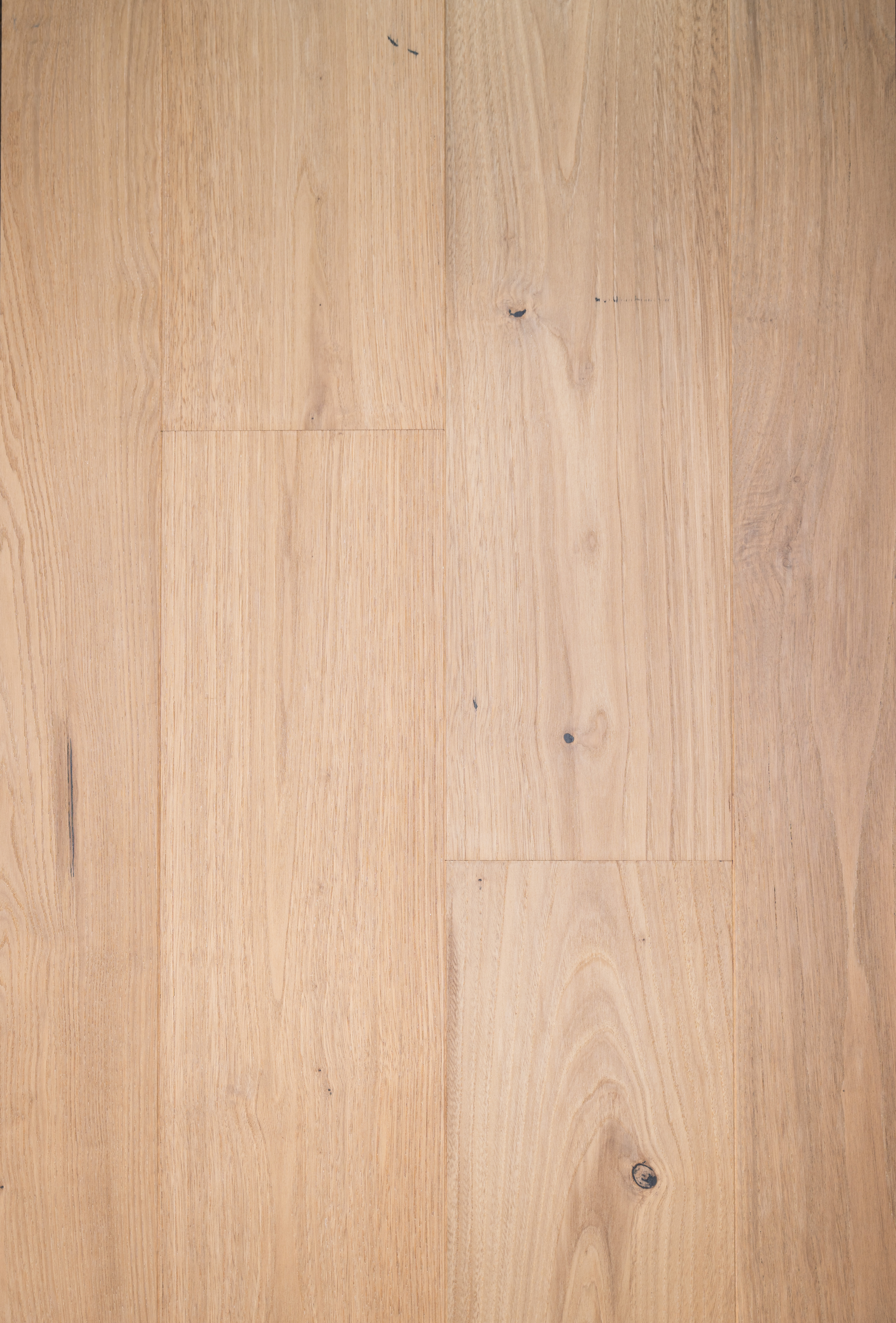 Chestnut-ZC-007