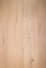 Chestnut-ZC-007
