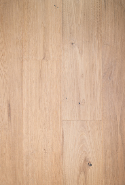 Chestnut-ZC-007