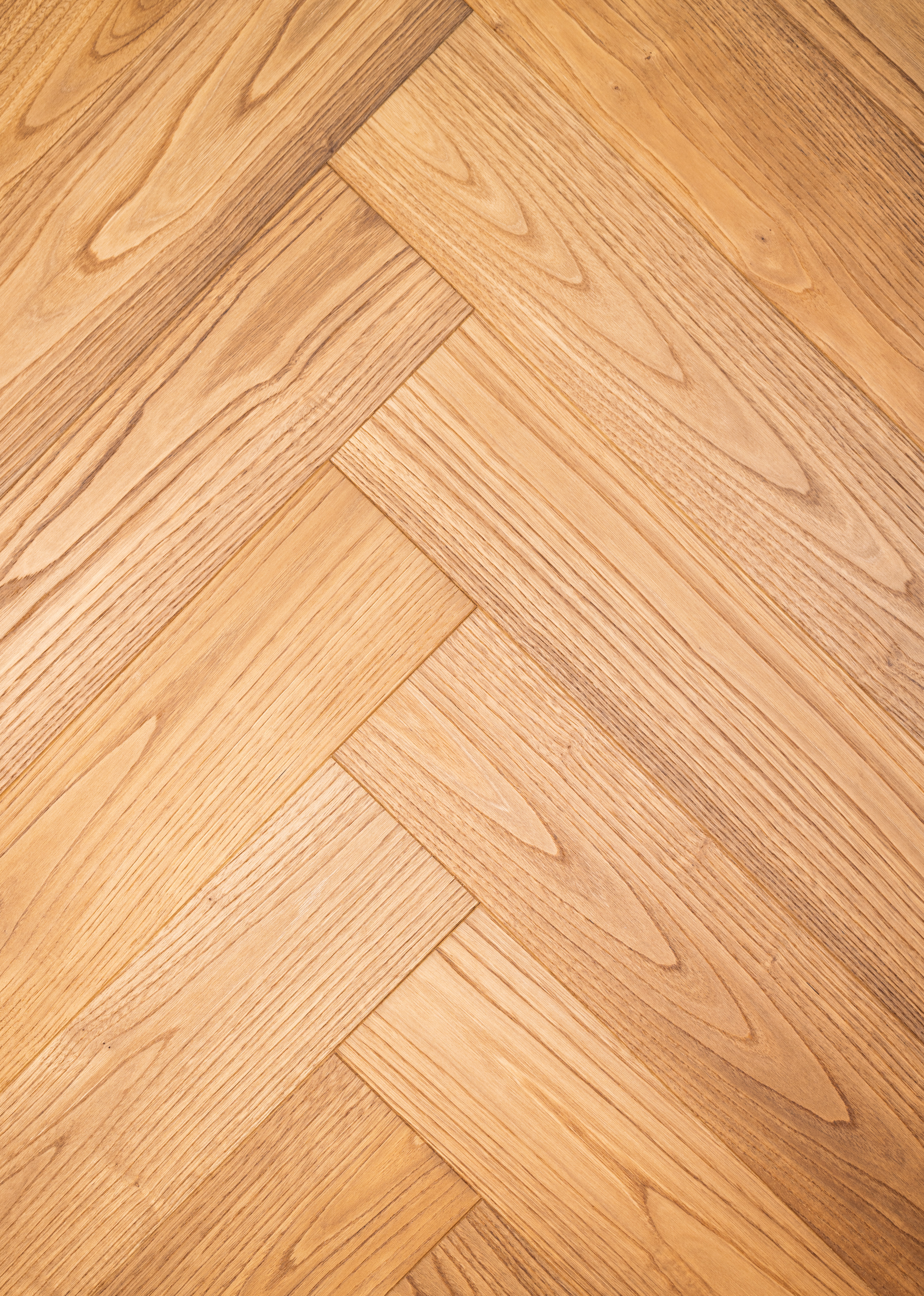 Chestnut-ZC-011