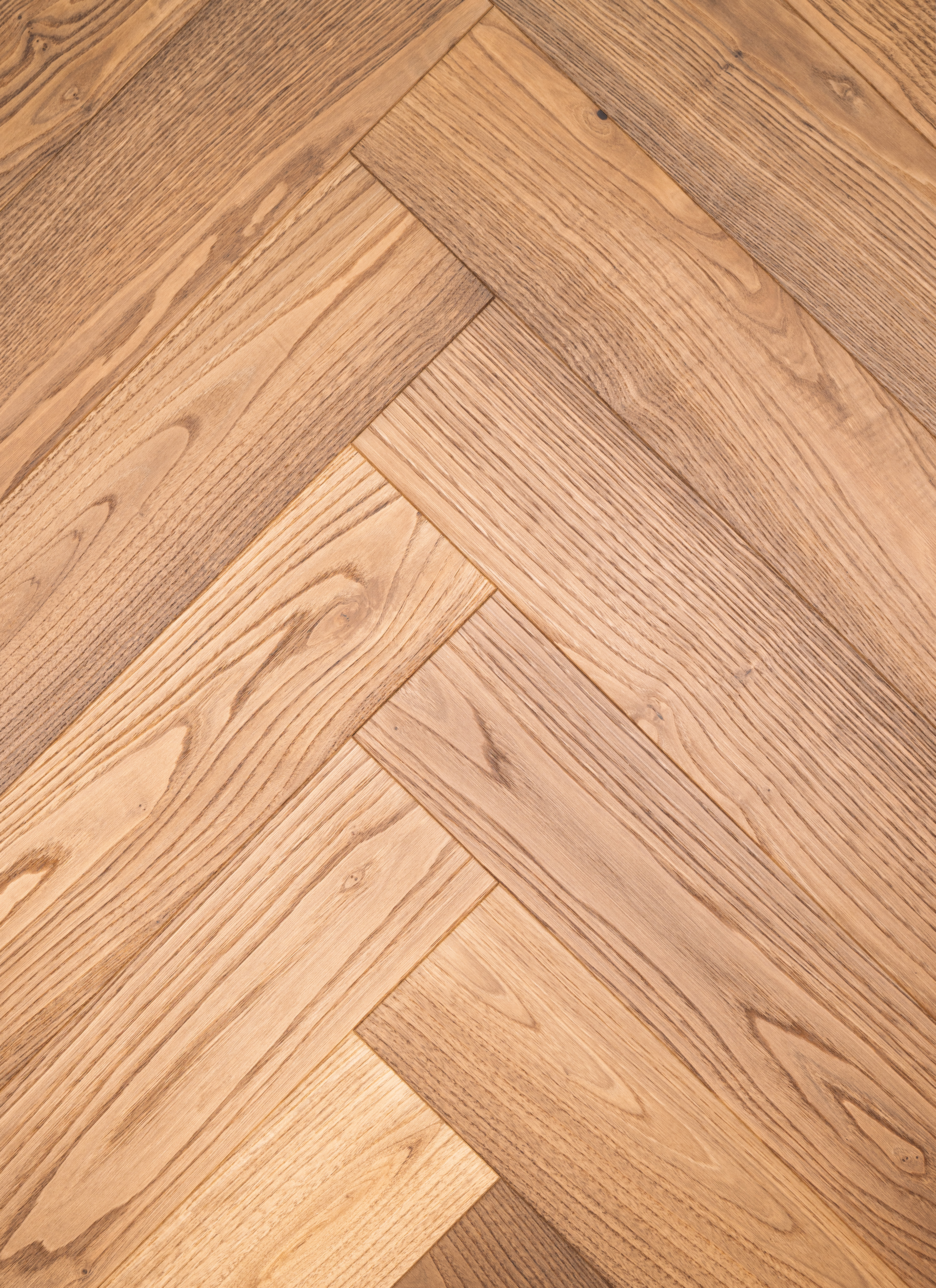 Chestnut-ZC-013