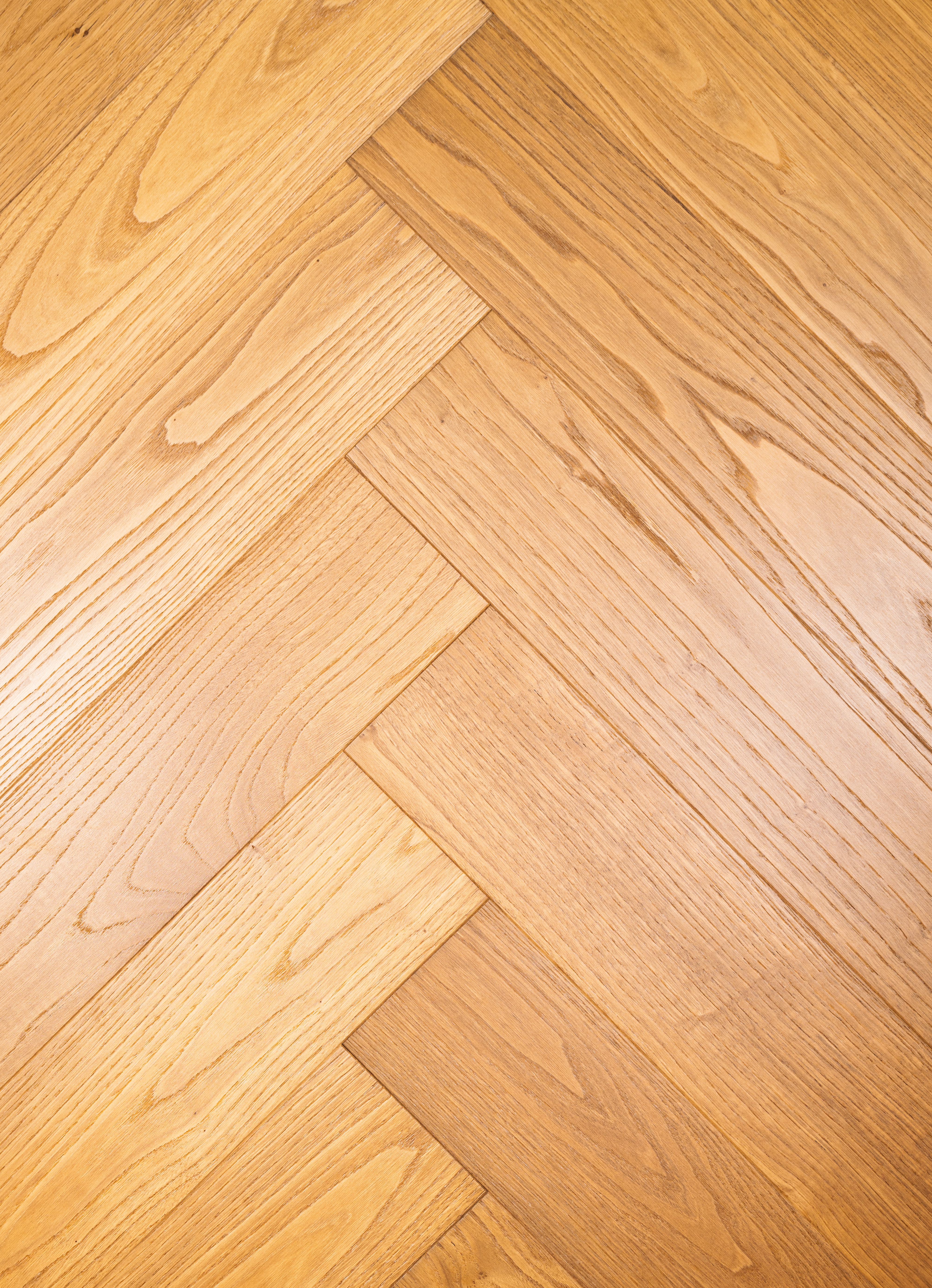 Chestnut-ZC-014