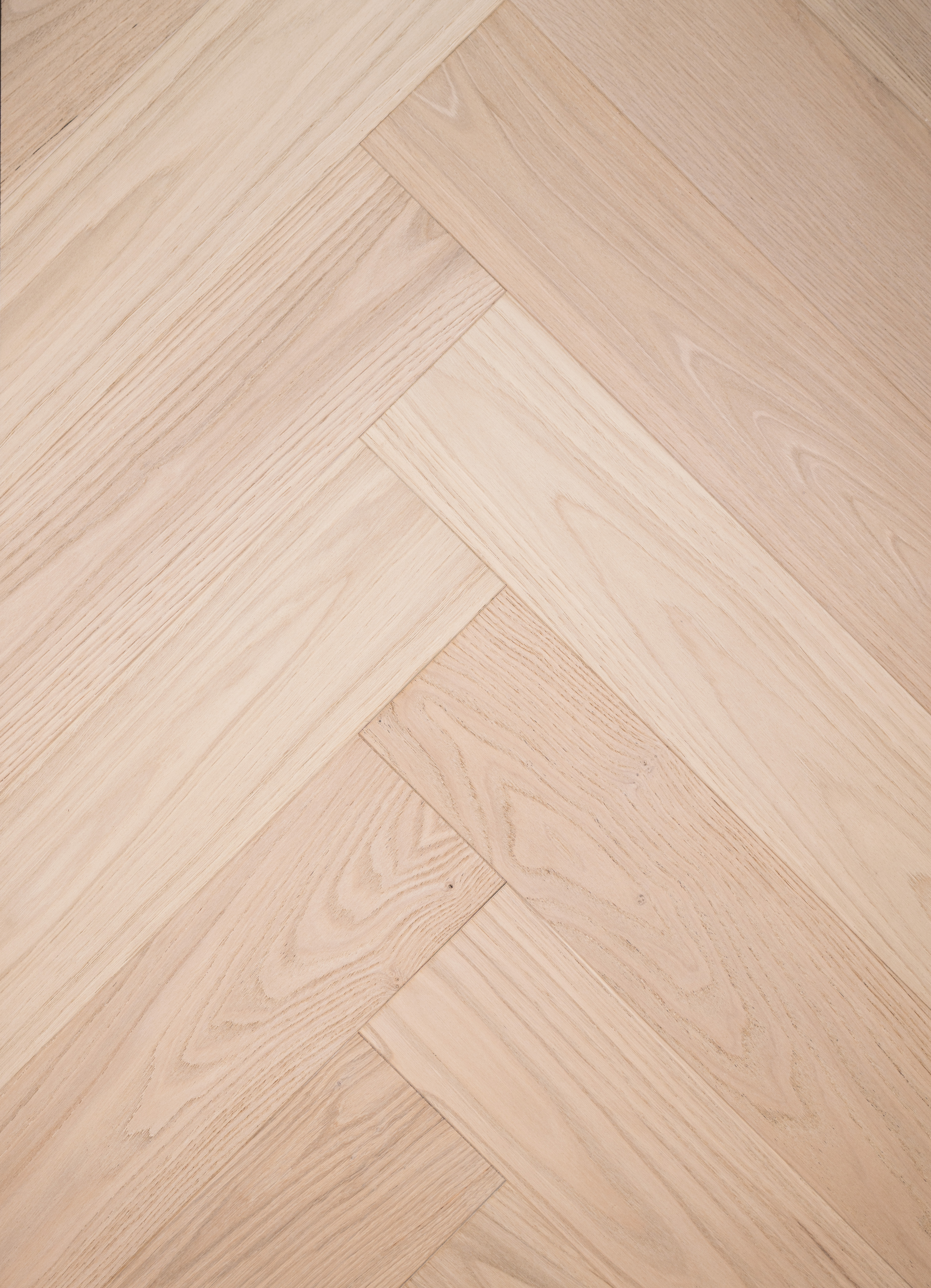 Chestnut-ZC-017