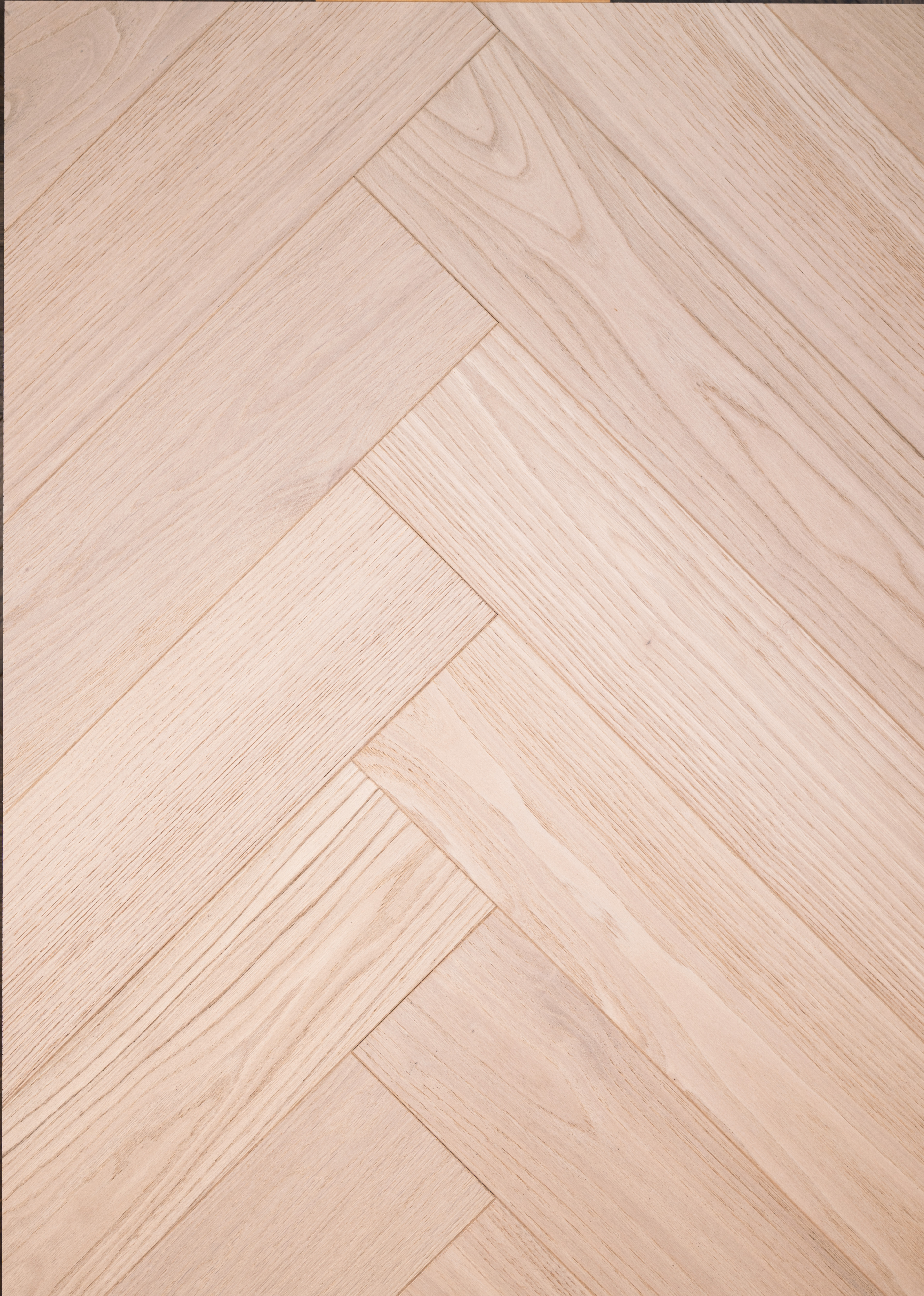 Chestnut-ZC-019