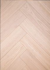Chestnut-ZC-019