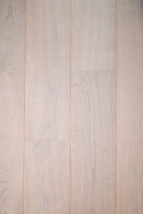 Chestnut-ZC-005