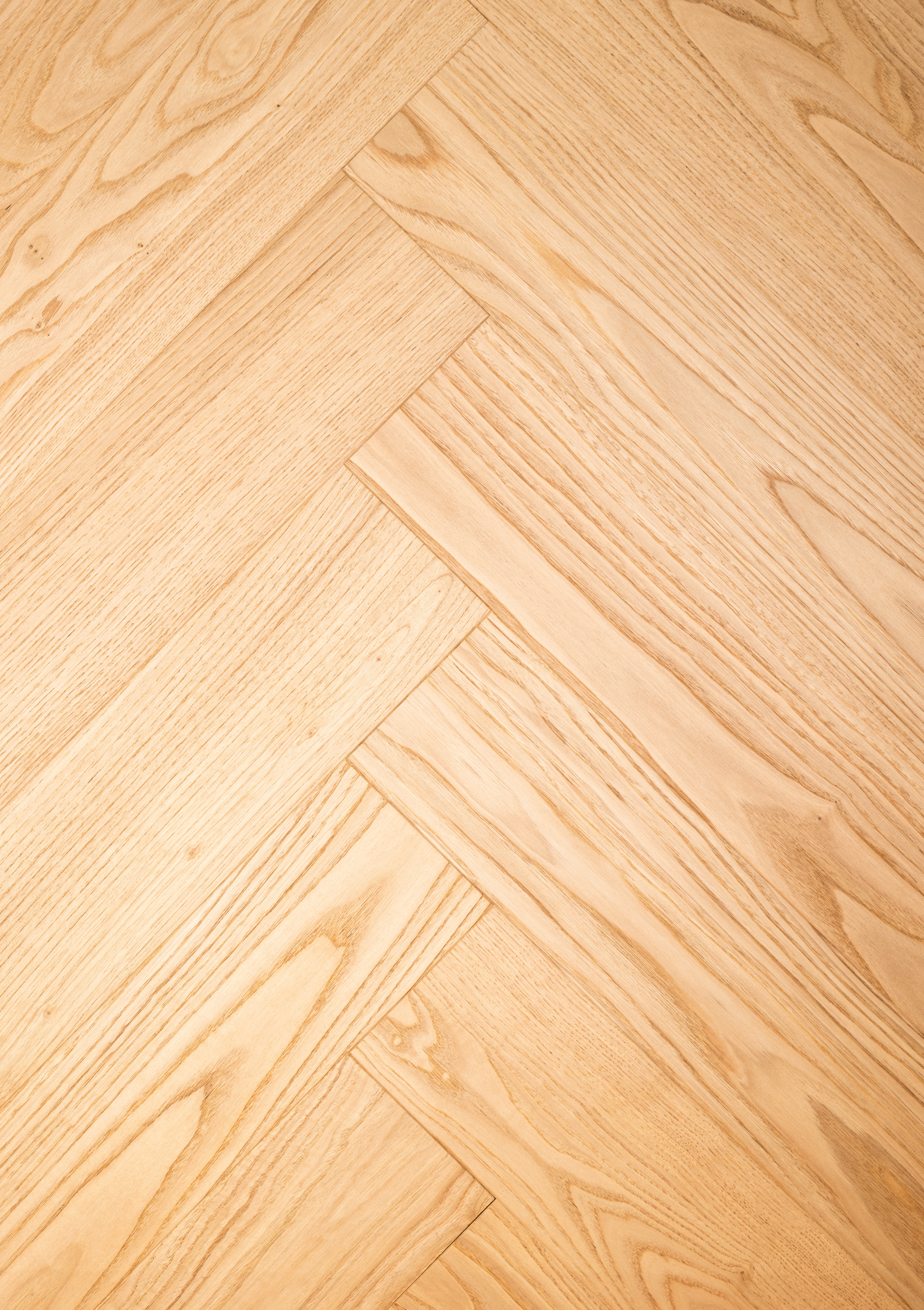 Chestnut-ZC-015