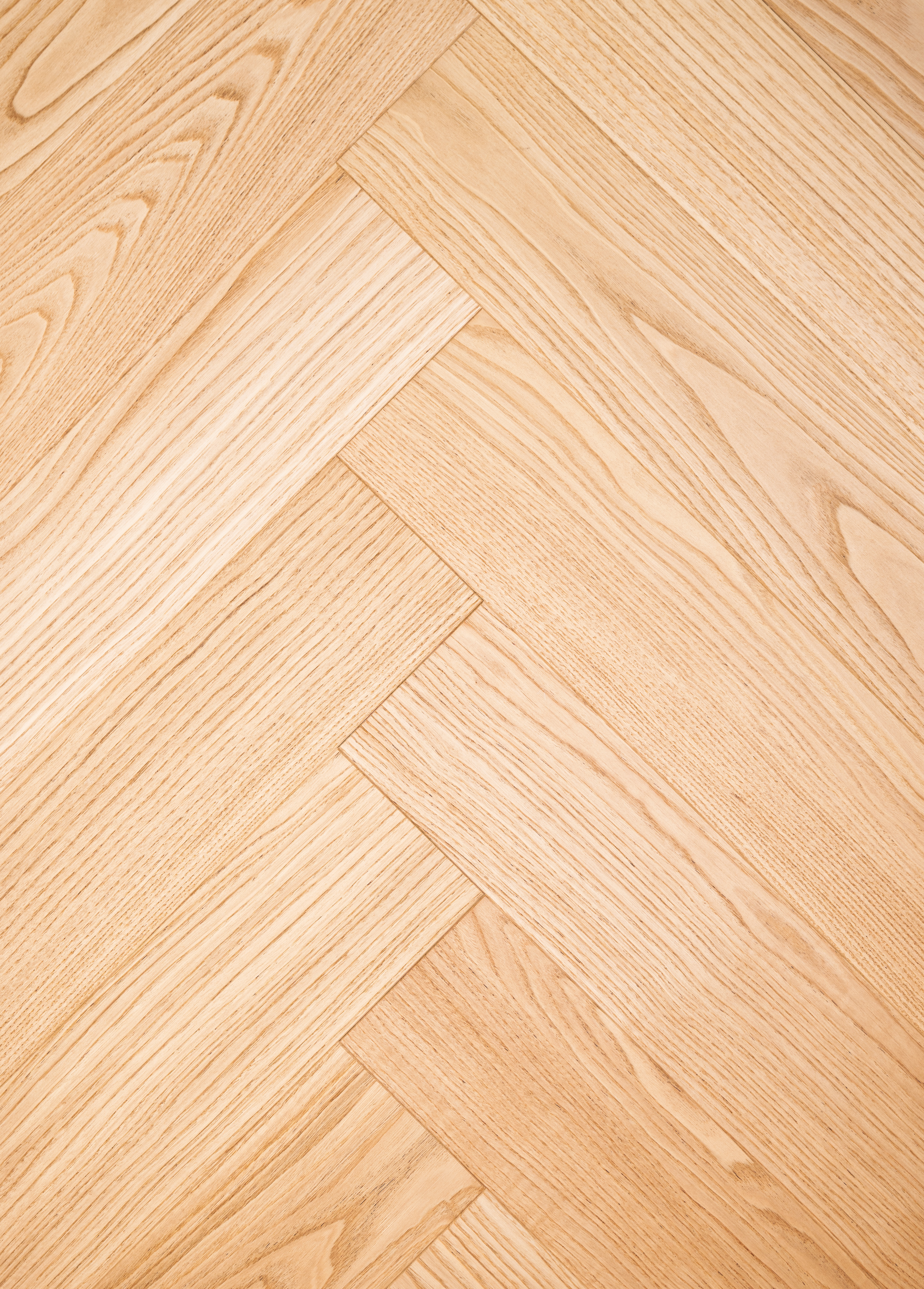 Chestnut-ZC-016