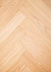 Chestnut-ZC-016