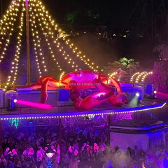 Advertising Lighting Inflatable Ocean Animal Events Decoration Giant Inflatable Crab Cartoon