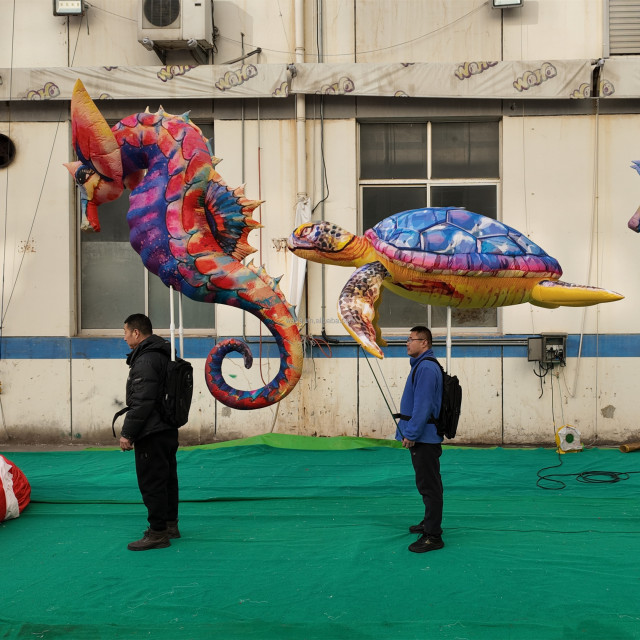 Colorful Inflatable Seahorse Sea Animal Puppet Inflatable Turtle Seahorse Costume With Led Light