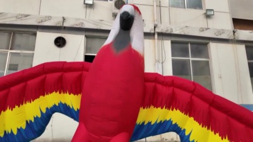 Custom Inflatable Parrot Models, Suitable for Commercial Events, Exhibitions and Large-scale Parades