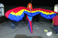 Custom Inflatable Parrot Models, Suitable for Commercial Events, Exhibitions and Large-scale Parades