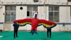 Custom Inflatable Parrot Models, Suitable for Commercial Events, Exhibitions and Large-scale Parades