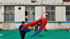 Custom Inflatable Parrot Models, Suitable for Commercial Events, Exhibitions and Large-scale Parades