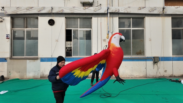 Custom Inflatable Parrot Models, Suitable for Commercial Events, Exhibitions and Large-scale Parades