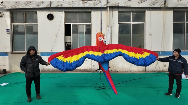 Custom Inflatable Parrot Models, Suitable for Commercial Events, Exhibitions and Large-scale Parades