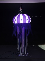 Hot Sale Outdoor Wonderful Inflatable Jellyfish Display Customized Giant Inflatable Cute Sea Animal With Light