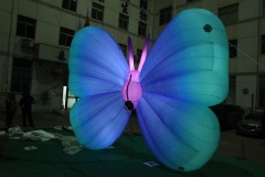 Custom Inflatable butterfly Models, Used for Commercial Events, Exhibitions and Large-scale Parades