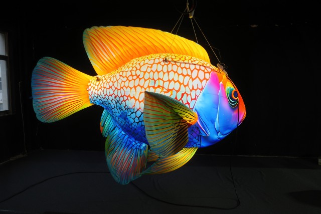 Activity Promotion Advertisement: Tropical Fish Inflatable Models, with an Ocean Atmosphere and Scene-specific Decorative Props.